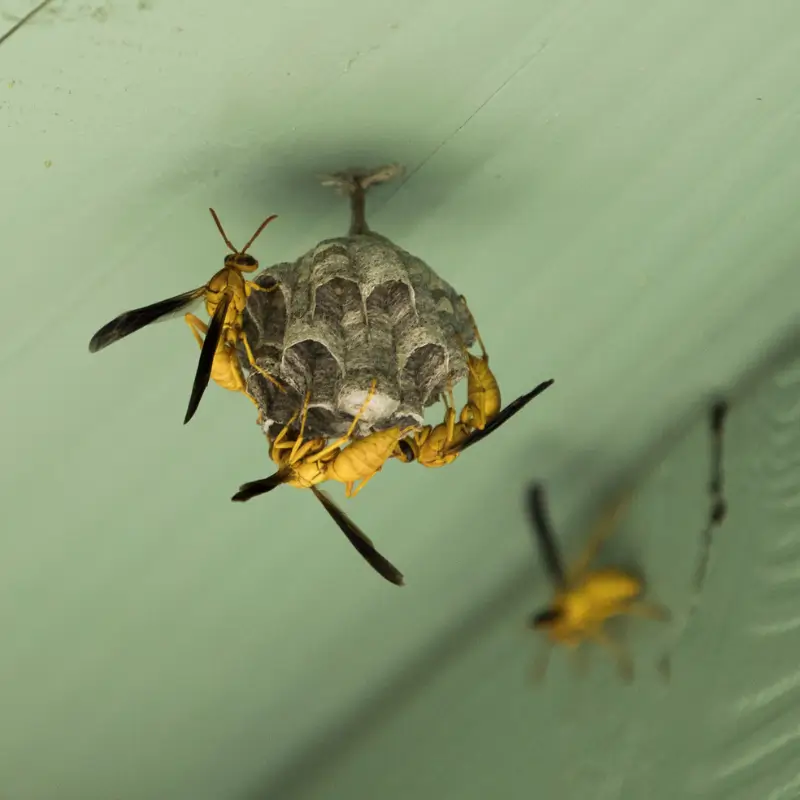 0-14182779-6dbe-4063-8f22-df3751341c16-1080x600